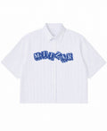 Blue Striped Oxford Boxy Shirt Front Design